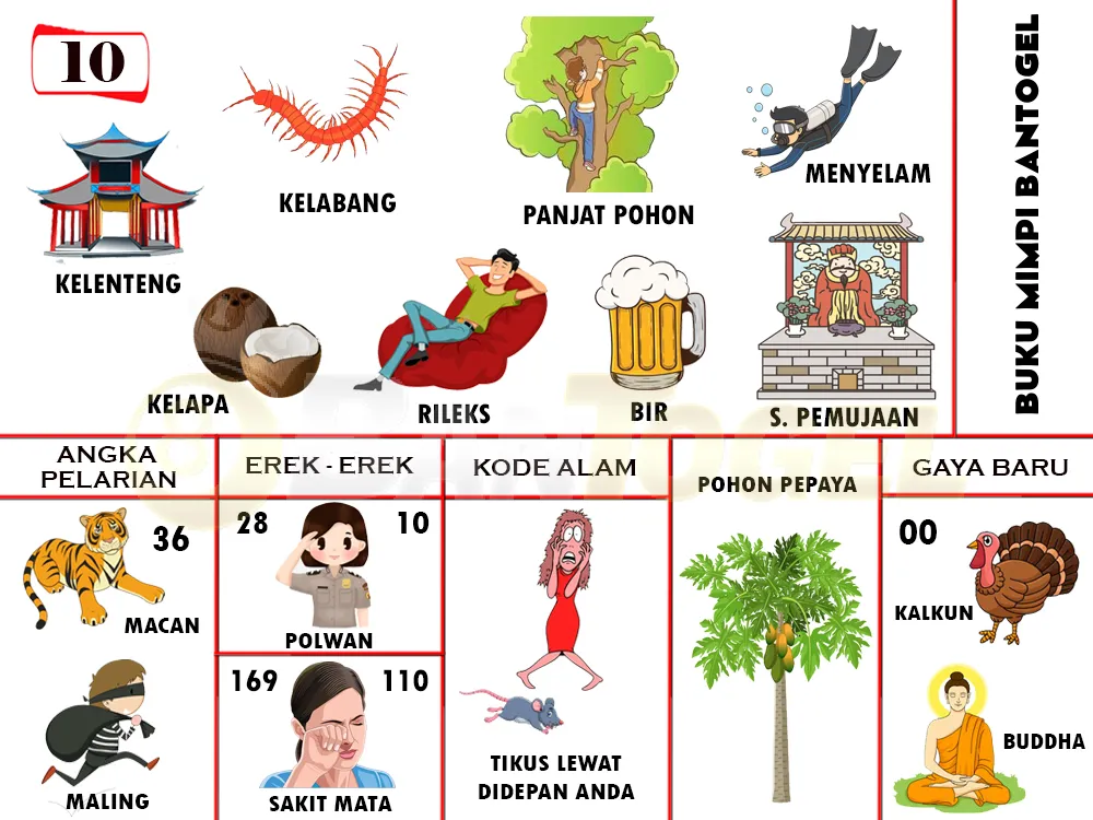 buku mimpi erek erek togel 10