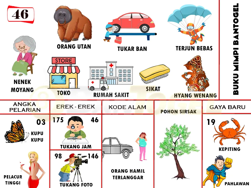 buku mimpi erek erek togel 46
